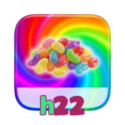 h22